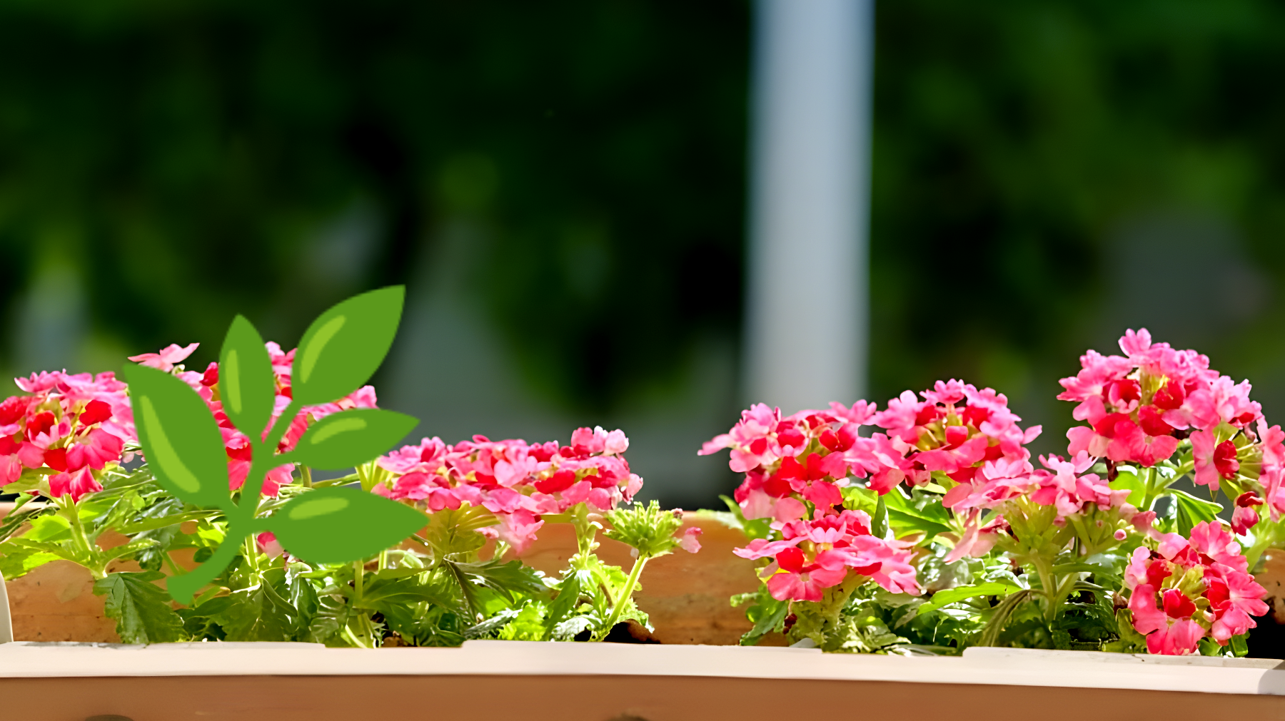 Descubre la planta medicinal que está revolucionando los jardines: ¿es realmente un milagro verde?