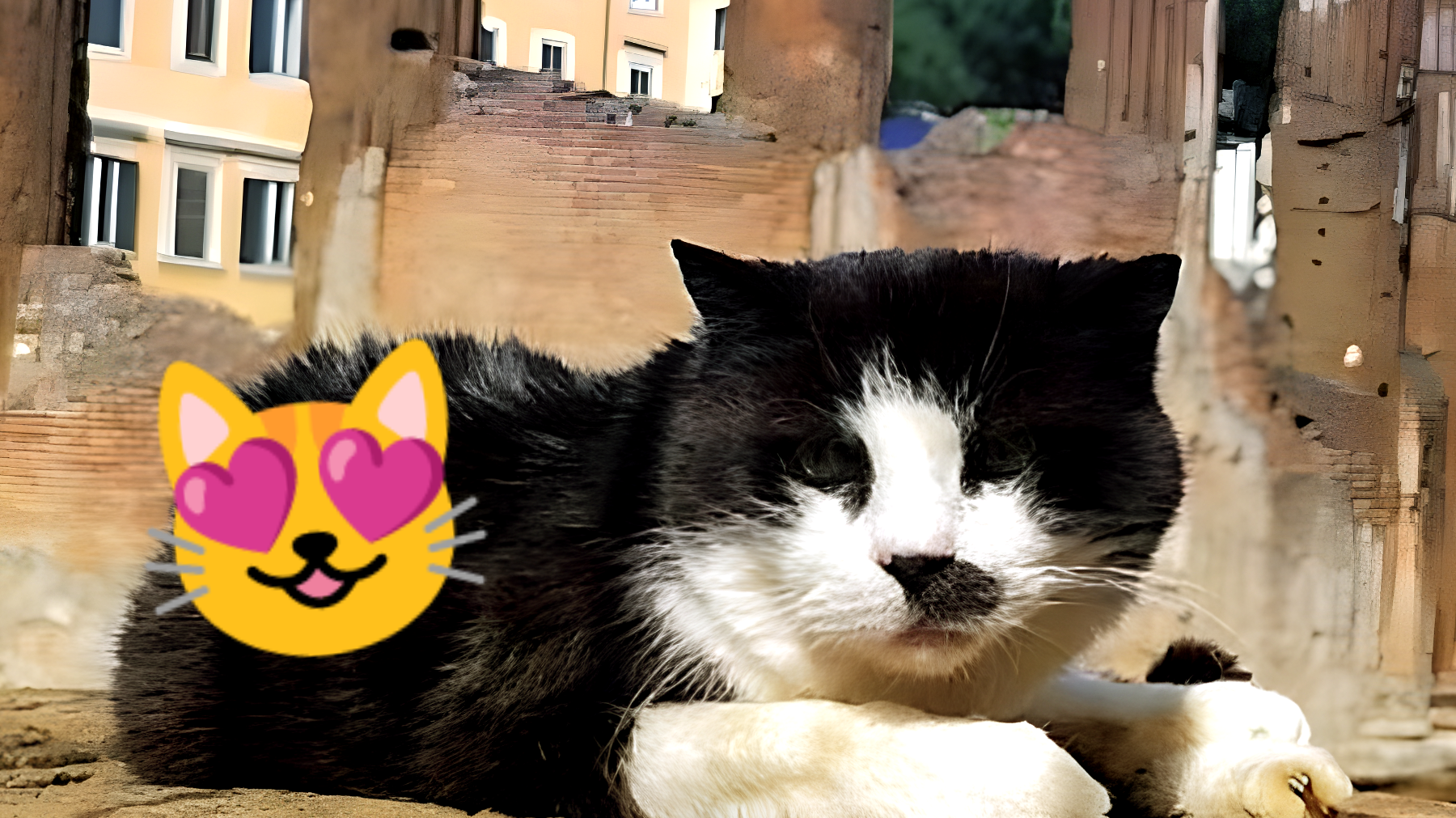 El enigma gatuno de Roma: ¿Cómo acabaron estas antiguas ruinas repletas de felinos sin hogar?